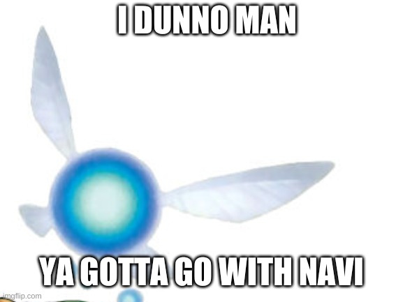 I DUNNO MAN YA GOTTA GO WITH NAVI | made w/ Imgflip meme maker