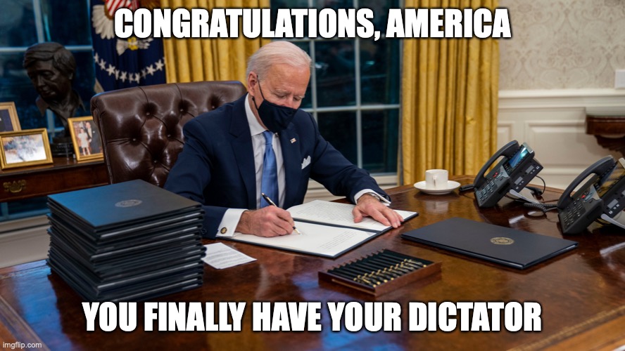 CONGRATULATIONS, AMERICA; YOU FINALLY HAVE YOUR DICTATOR | image tagged in america,joe biden | made w/ Imgflip meme maker
