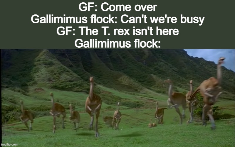 GF: Come over
Gallimimus flock: Can't we're busy
GF: The T. rex isn't here
Gallimimus flock: | image tagged in memes,jurassic park,dinosaurs | made w/ Imgflip meme maker