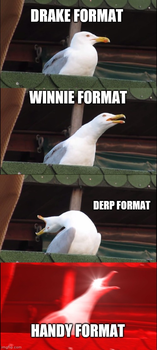 Inhaling Seagull Meme | DRAKE FORMAT WINNIE FORMAT DERP FORMAT HANDY FORMAT | image tagged in memes,inhaling seagull | made w/ Imgflip meme maker