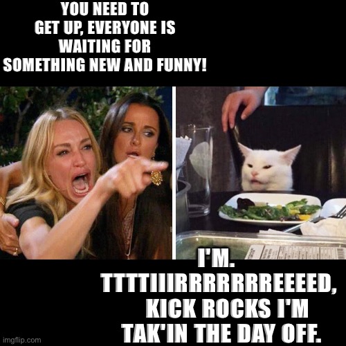 I'm tired | YOU NEED TO GET UP, EVERYONE IS WAITING FOR SOMETHING NEW AND FUNNY! I'M.   TTTTIIIRRRRRRREEEED,    KICK ROCKS I'M TAK'IN THE DAY OFF. | image tagged in smudge the cat | made w/ Imgflip meme maker