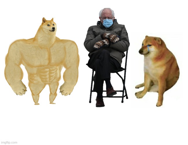 buff doge vs. bernie vs. cheems | image tagged in memes,buff doge vs cheems | made w/ Imgflip meme maker