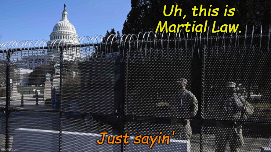 The way every communist revolution begins. | Uh, this is Martial Law. Just sayin' | image tagged in capitol fencing wall | made w/ Imgflip meme maker