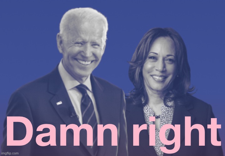 Positivity as resistance. | Damn right | image tagged in biden harris 2020 | made w/ Imgflip meme maker