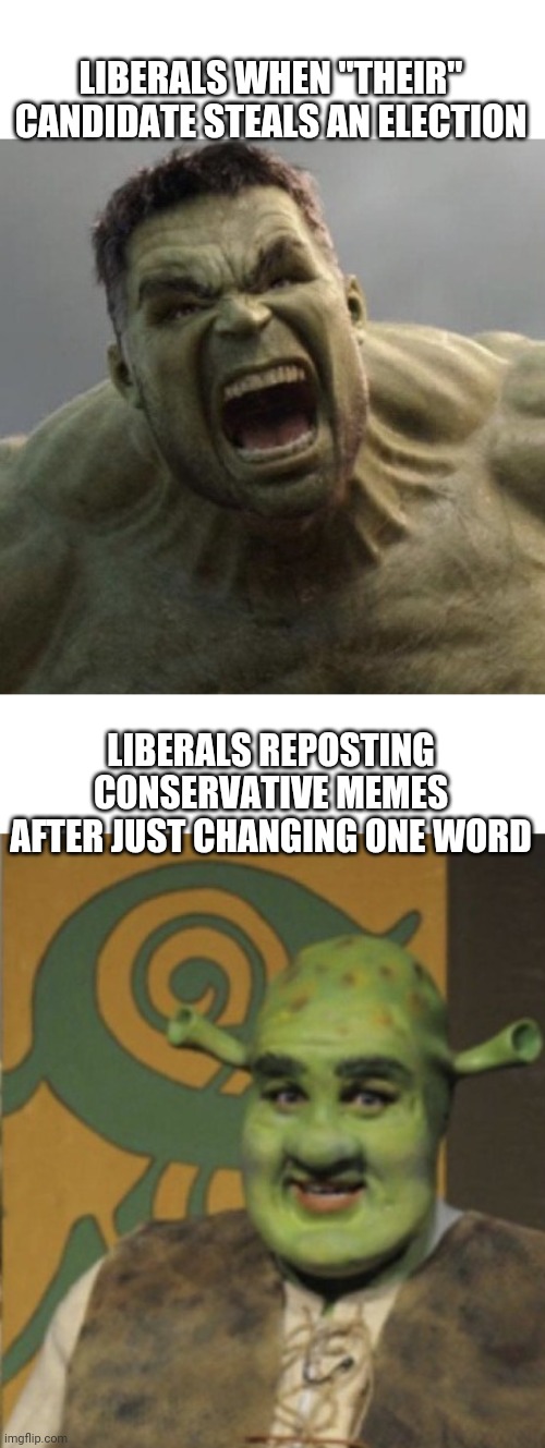 LIBERALS WHEN "THEIR" CANDIDATE STEALS AN ELECTION LIBERALS REPOSTING CONSERVATIVE MEMES AFTER JUST CHANGING ONE WORD | made w/ Imgflip meme maker