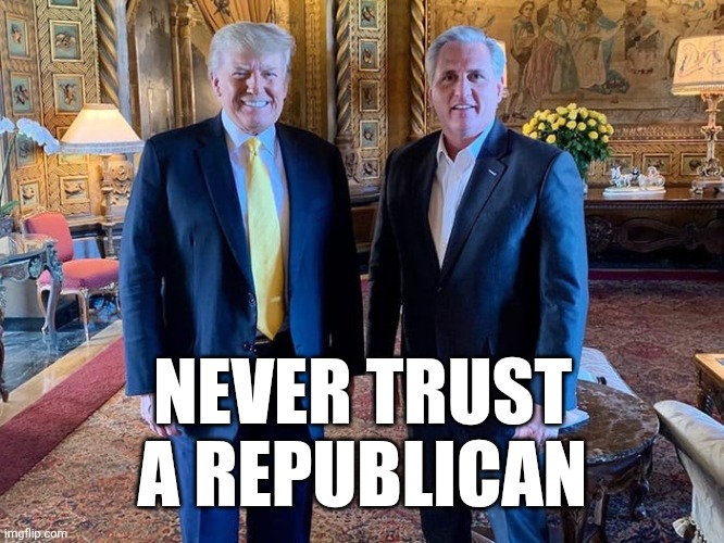 Note that I didn't say not to trust conservatives. | NEVER TRUST A REPUBLICAN | image tagged in pretty little liars,gop hypocrite,cowardly lion,bullies | made w/ Imgflip meme maker