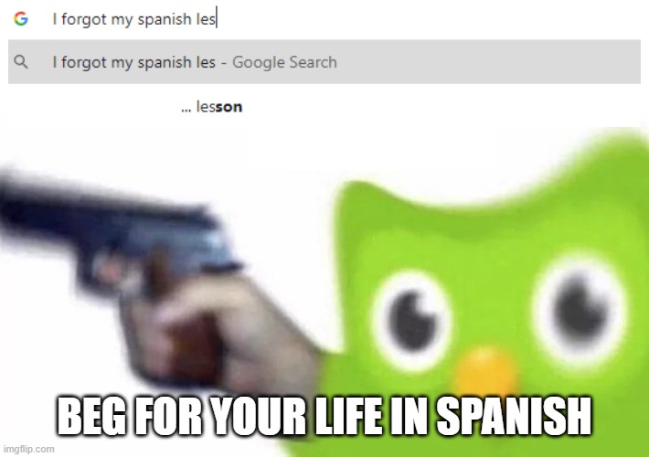 Duolingo | BEG FOR YOUR LIFE IN SPANISH | image tagged in duolingo gun | made w/ Imgflip meme maker