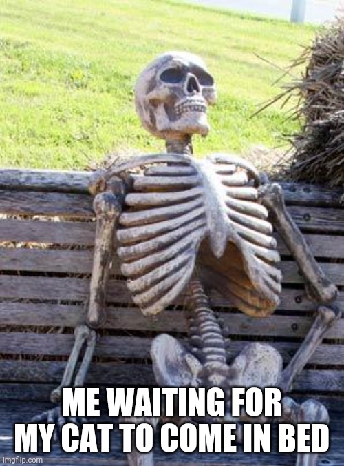 Waiting Skeleton | ME WAITING FOR MY CAT TO COME IN BED | image tagged in memes,waiting skeleton | made w/ Imgflip meme maker