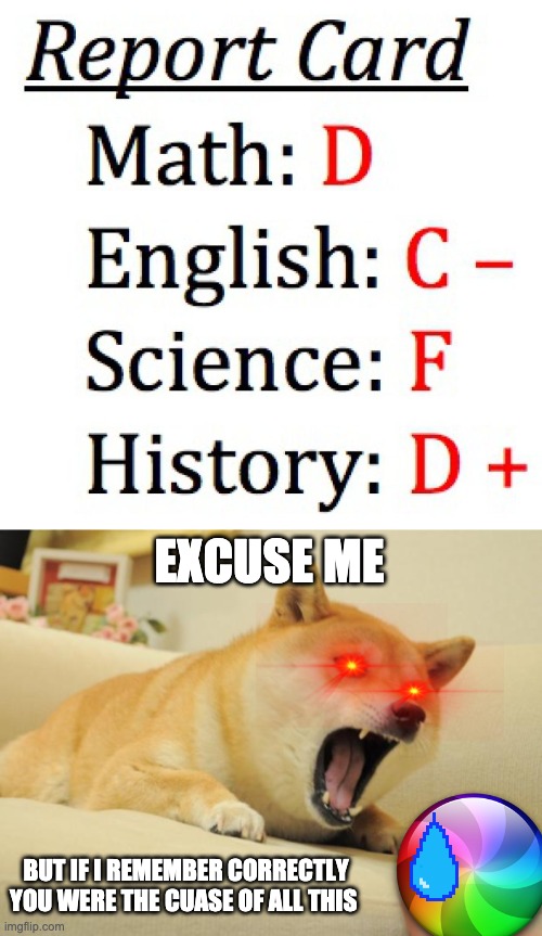 EXCUSE ME; BUT IF I REMEMBER CORRECTLY YOU WERE THE CUASE OF ALL THIS | image tagged in bad report card,angry doge | made w/ Imgflip meme maker