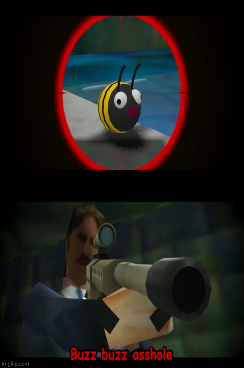 Swagmaster69 attempting to shoot a bee Blank Meme Template