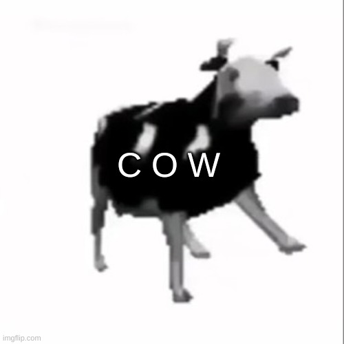 cow. | C O W | image tagged in memes,funny,cow | made w/ Imgflip meme maker
