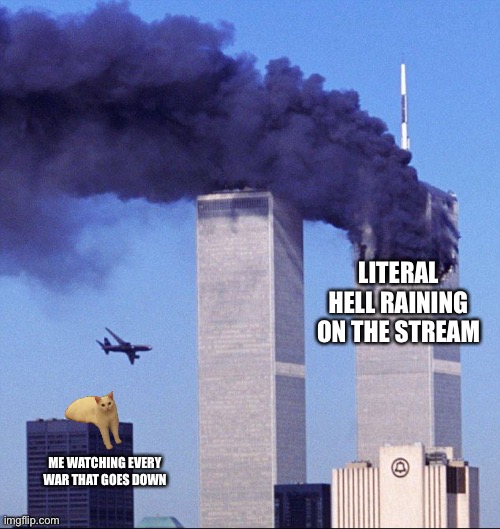 Twin towers and cat | LITERAL HELL RAINING ON THE STREAM; ME WATCHING EVERY WAR THAT GOES DOWN | image tagged in twin towers and cat | made w/ Imgflip meme maker