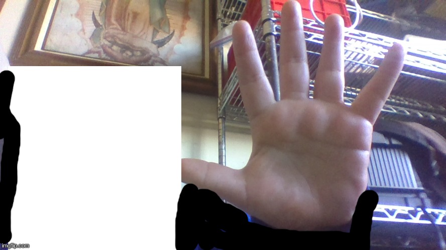le hand reveal  covered my hoodie and face | made w/ Imgflip meme maker