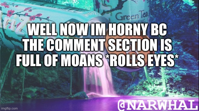 *WHEEZE* | WELL NOW IM HORNY BC THE COMMENT SECTION IS FULL OF MOANS *ROLLS EYES* | image tagged in narwhal announcement temp 10 | made w/ Imgflip meme maker
