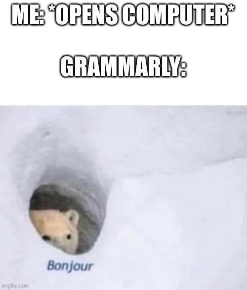 Grammarly is annoying | ME: *OPENS COMPUTER*; GRAMMARLY: | image tagged in bonjour,grammarly | made w/ Imgflip meme maker