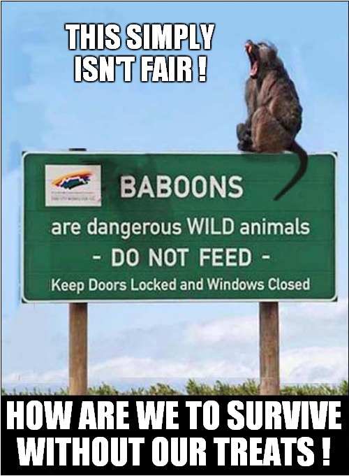 Baboon Mad About Sign | THIS SIMPLY ISN'T FAIR ! HOW ARE WE TO SURVIVE WITHOUT OUR TREATS ! | image tagged in fun,baboon,sign,treats | made w/ Imgflip meme maker