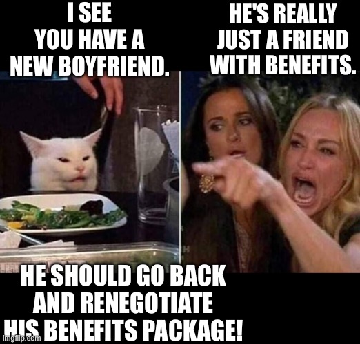 Reverse smudge |  I SEE YOU HAVE A NEW BOYFRIEND. HE'S REALLY JUST A FRIEND WITH BENEFITS. HE SHOULD GO BACK AND RENEGOTIATE HIS BENEFITS PACKAGE! | image tagged in reverse smudge and karen | made w/ Imgflip meme maker