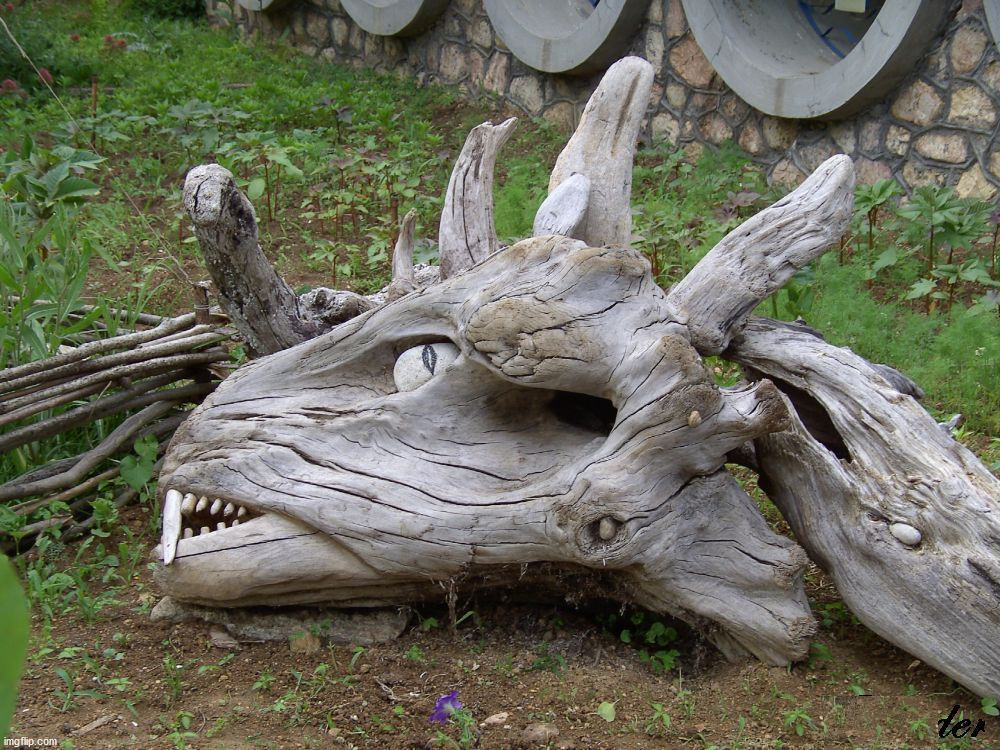dragon wood | image tagged in awesome | made w/ Imgflip meme maker