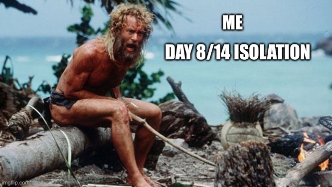 8/14 isolation | ME; DAY 8/14 ISOLATION | image tagged in castaway,isolation,self isolation,crazy,pandemic,tom hanks | made w/ Imgflip meme maker