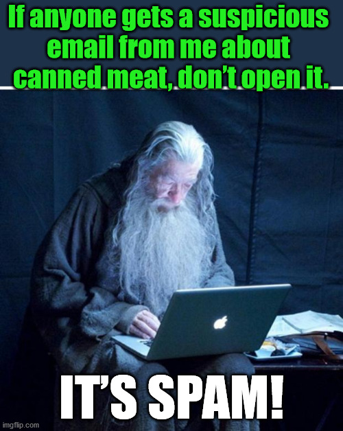 Gandalf Checks His Email | If anyone gets a suspicious 
email from me about 
canned meat, don’t open it. IT’S SPAM! | image tagged in gandalf checks his email,eyeroll | made w/ Imgflip meme maker