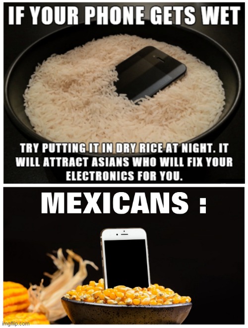 image tagged in rice,cell phone,iphone,asian,mexicans,corn | made w/ Imgflip meme maker