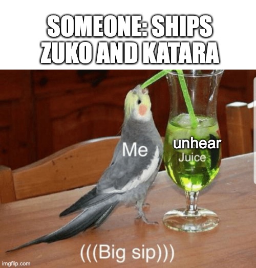 Unsee juice | SOMEONE: SHIPS ZUKO AND KATARA; unhear | image tagged in unsee juice | made w/ Imgflip meme maker