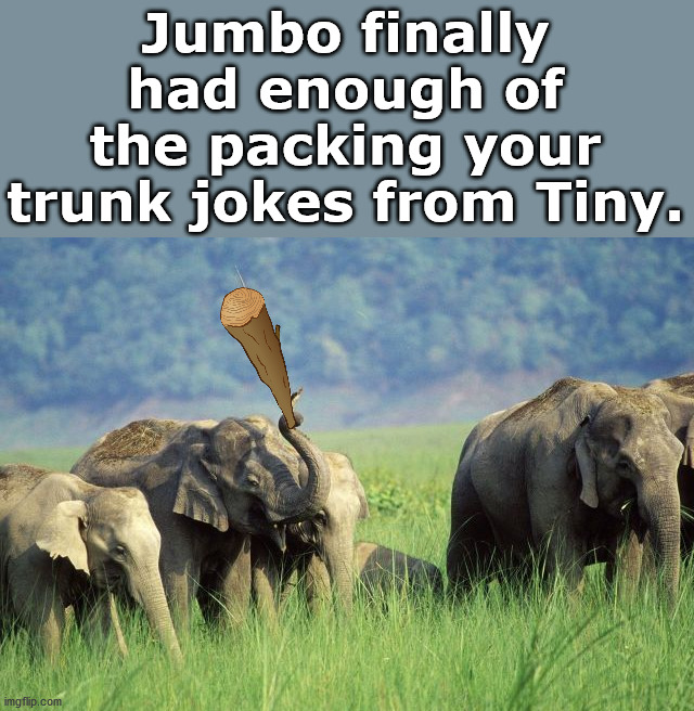 They never forget | Jumbo finally had enough of the packing your trunk jokes from Tiny. | image tagged in elephant,trunks,bad jokes | made w/ Imgflip meme maker