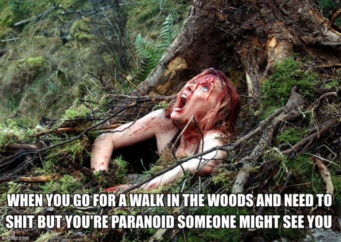 image tagged in horror,shit,woods,horror movie,the descent,paranoia | made w/ Imgflip meme maker