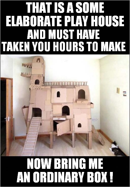 Unappreciated Effort ! | THAT IS A SOME ELABORATE PLAY HOUSE; AND MUST HAVE TAKEN YOU HOURS TO MAKE; NOW BRING ME AN ORDINARY BOX ! | image tagged in cats,boxes | made w/ Imgflip meme maker