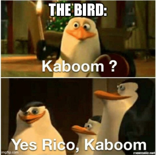 Kaboom? Yes Rico, Kaboom. | THE BIRD: | image tagged in kaboom yes rico kaboom | made w/ Imgflip meme maker