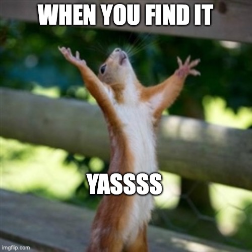 YASS | WHEN YOU FIND IT YASSSS | image tagged in yass | made w/ Imgflip meme maker