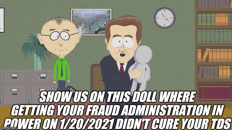show us on this doll | SHOW US ON THIS DOLL WHERE GETTING YOUR FRAUD ADMINISTRATION IN POWER ON 1/20/2021 DIDN'T CURE YOUR TDS | image tagged in show us on this doll | made w/ Imgflip meme maker