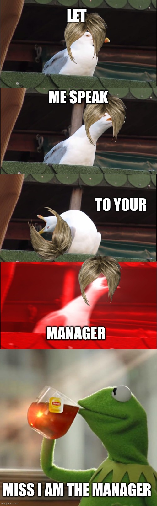 LET; ME SPEAK; TO YOUR; MANAGER; MISS I AM THE MANAGER | image tagged in memes,inhaling seagull,but that's none of my business | made w/ Imgflip meme maker