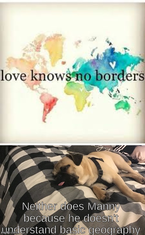 he cute pupper | Neither does Manny because he doesn't understand basic geography | image tagged in love knows no borders | made w/ Imgflip meme maker