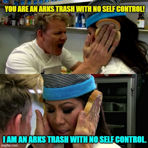 A hundred dollars worth of SG | YOU ARE AN ARKS TRASH WITH NO SELF CONTROL! I AM AN ARKS TRASH WITH NO SELF CONTROL. | image tagged in gordon ramsay idiot sandwich,pso2,gamecash,f2p | made w/ Imgflip meme maker