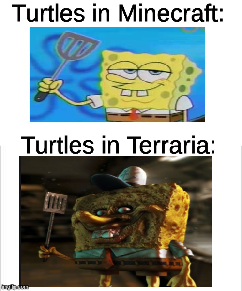 i prefer the minecraft ones ._. | Turtles in Minecraft:; Turtles in Terraria: | image tagged in white background | made w/ Imgflip meme maker