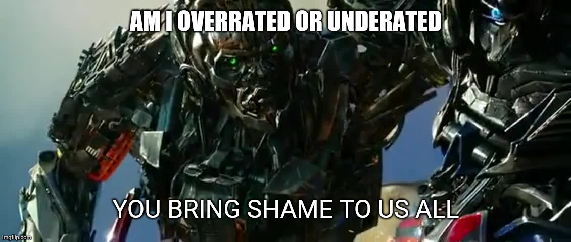 Answer me | AM I OVERRATED OR UNDERATED | image tagged in you bring shame to us all | made w/ Imgflip meme maker