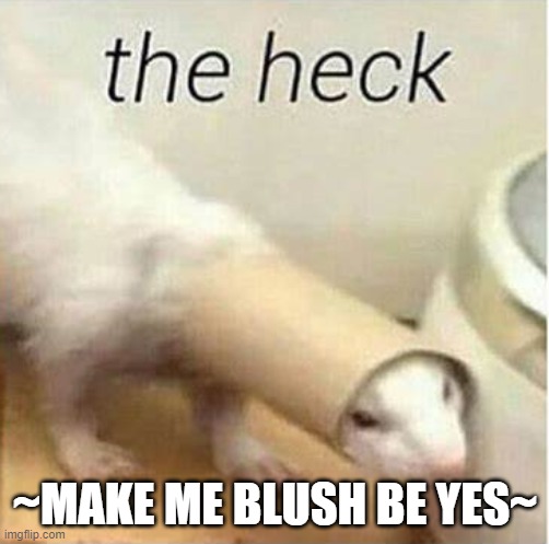 the heck | ~MAKE ME BLUSH BE YES~ | image tagged in the heck | made w/ Imgflip meme maker