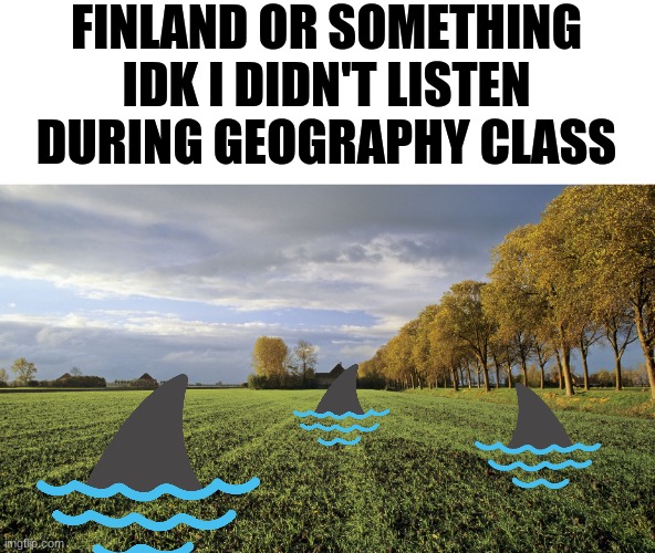 Finland or something | FINLAND OR SOMETHING IDK I DIDN'T LISTEN DURING GEOGRAPHY CLASS | image tagged in finland | made w/ Imgflip meme maker