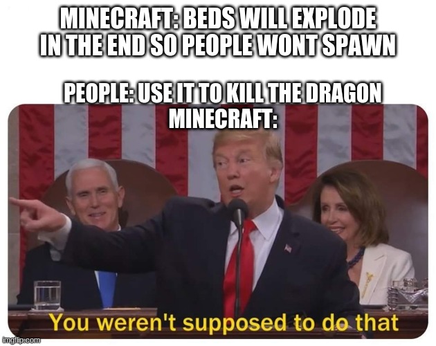 You only need to use 4 to kill it |  MINECRAFT: BEDS WILL EXPLODE IN THE END SO PEOPLE WONT SPAWN; PEOPLE: USE IT TO KILL THE DRAGON
MINECRAFT: | image tagged in you weren't supposed to do that | made w/ Imgflip meme maker