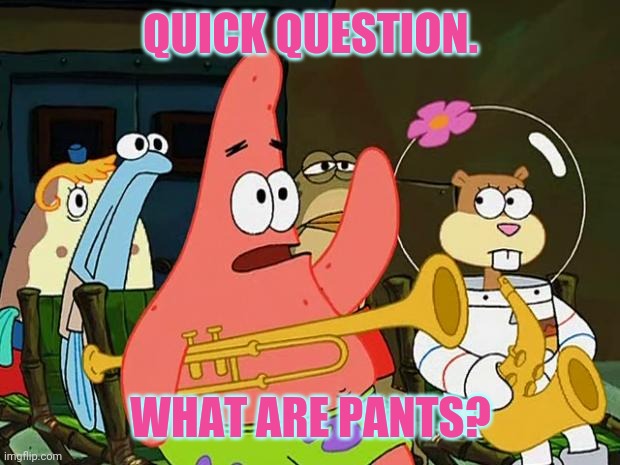 Patrick Mayonaise | QUICK QUESTION. WHAT ARE PANTS? | image tagged in patrick mayonaise | made w/ Imgflip meme maker