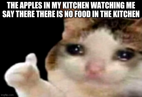 Sad cat thumbs up | THE APPLES IN MY KITCHEN WATCHING ME SAY THERE THERE IS NO FOOD IN THE KITCHEN | image tagged in sad cat thumbs up | made w/ Imgflip meme maker