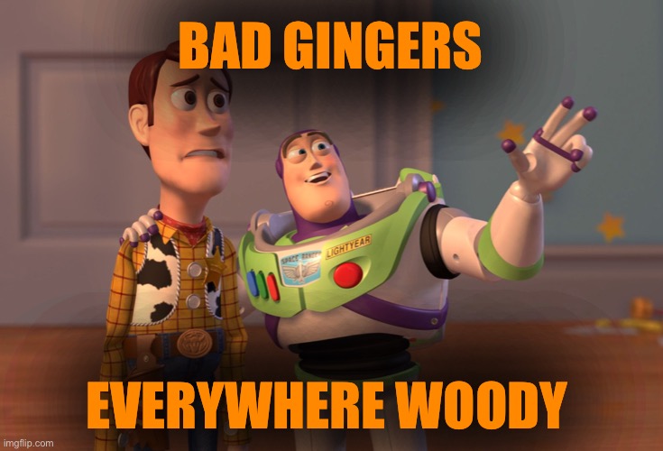 X, X Everywhere Meme | BAD GINGERS EVERYWHERE WOODY | image tagged in memes,x x everywhere | made w/ Imgflip meme maker