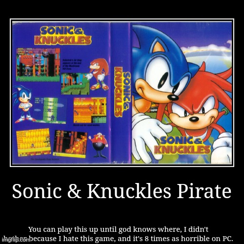 Sonic & Knuckles Pirate! | image tagged in funny,demotivationals | made w/ Imgflip demotivational maker