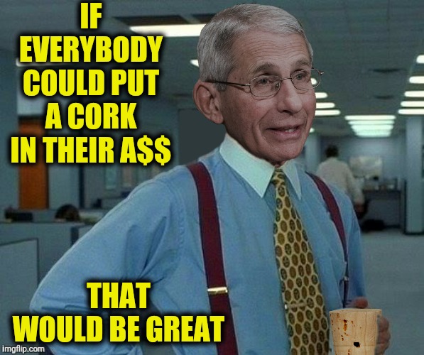 IF EVERYBODY COULD PUT A CORK IN THEIR A$$ THAT WOULD BE GREAT | made w/ Imgflip meme maker