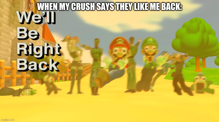 We’ll be right back smg4 | WHEN MY CRUSH SAYS THEY LIKE ME BACK: | image tagged in we ll be right back smg4 | made w/ Imgflip meme maker