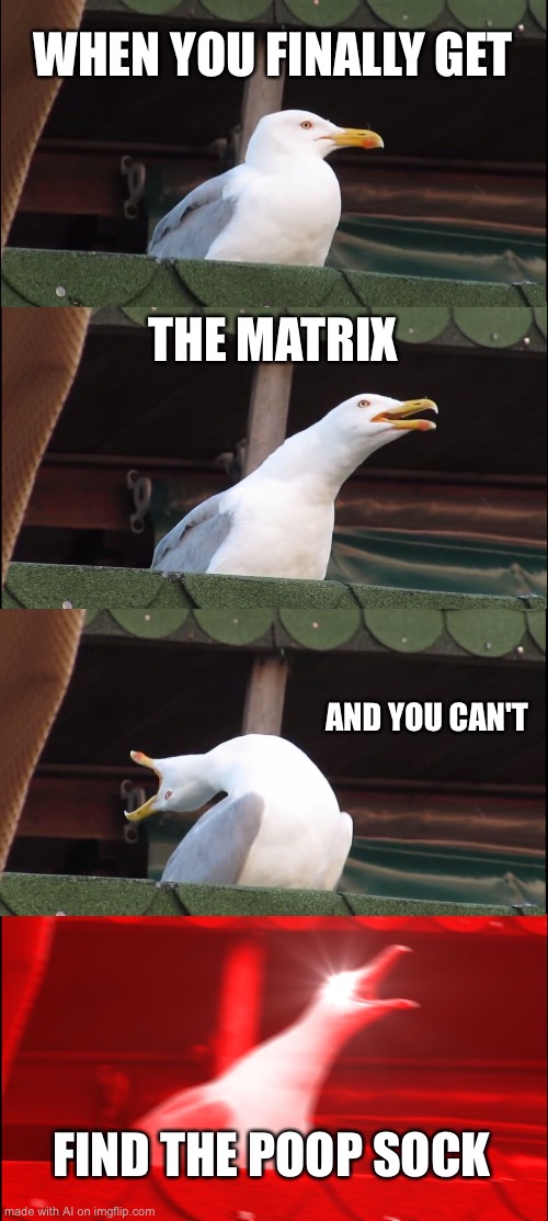 Inhaling Seagull Meme | WHEN YOU FINALLY GET; THE MATRIX; AND YOU CAN'T; FIND THE POOP SOCK | image tagged in memes,inhaling seagull | made w/ Imgflip meme maker