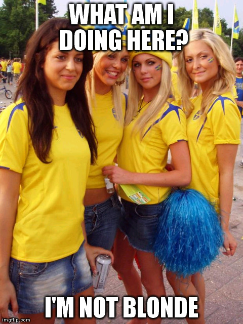 WHAT AM I DOING HERE? I'M NOT BLONDE | image tagged in swedish girls | made w/ Imgflip meme maker