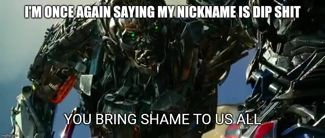 I'M ONCE AGAIN SAYING MY NICKNAME IS DIP SHIT | image tagged in you bring shame to us all | made w/ Imgflip meme maker