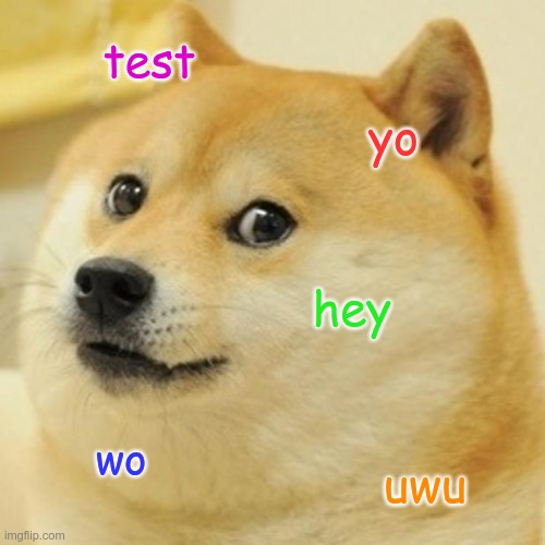 Doge Meme | test; yo; hey; wo; uwu | image tagged in memes,doge | made w/ Imgflip meme maker